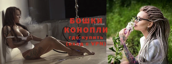 каннабис Корсаков
