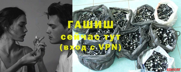 сатива Костерёво