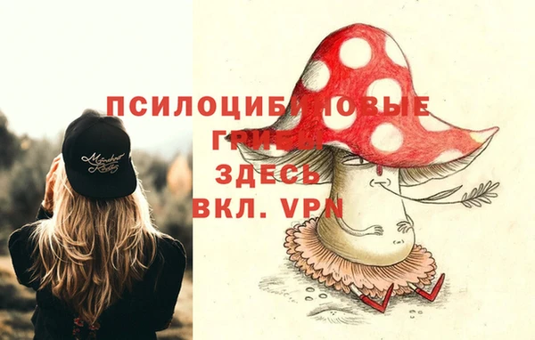 MDMA Premium VHQ Коряжма