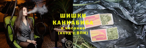 сатива Костерёво