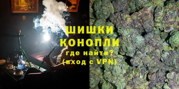 сатива Костерёво