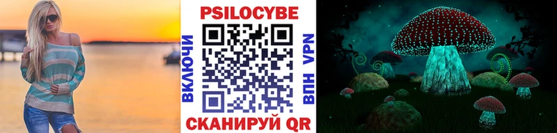Купить где  Солнечногорск  Псилоцибиновые грибы Psilocybe 